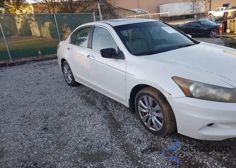 2011 Honda Accord 3.5 Ex-L from USA, damaged, VIN 1HGCP3F86BA011719
